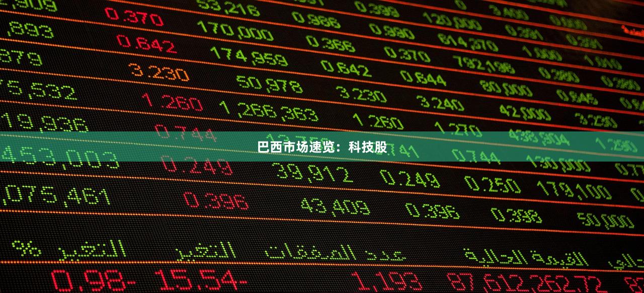 巴西市场速览：科技股